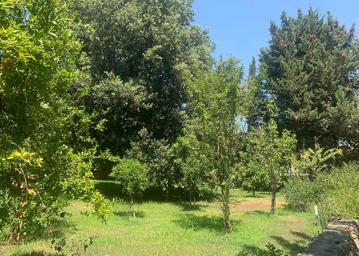 Dimora Madreperla * Gallipoli