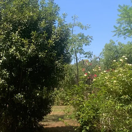 Hébergement de vacances Dimora Madreperla Gallipoli