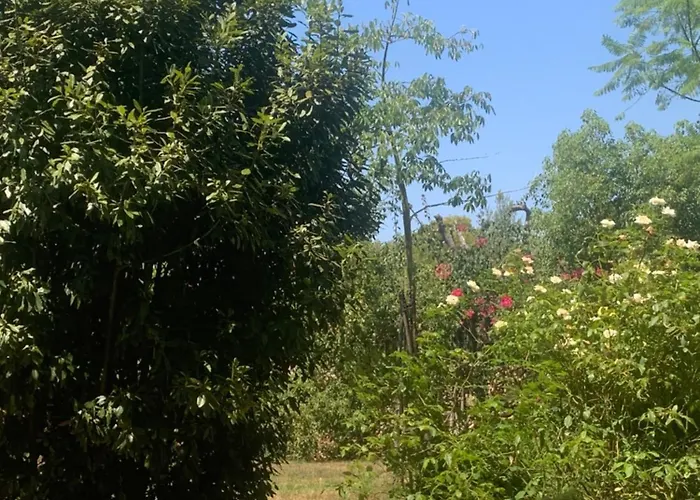 Hébergement de vacances Dimora Madreperla Gallipoli