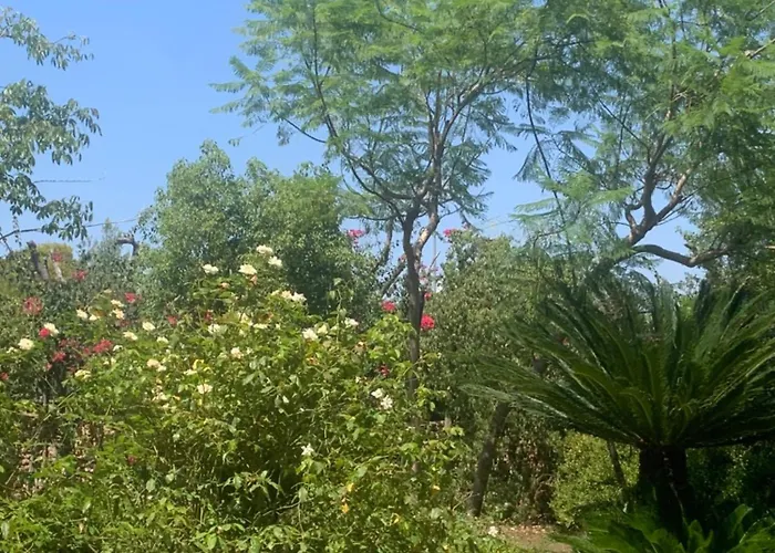 Dimora Madreperla * Gallipoli